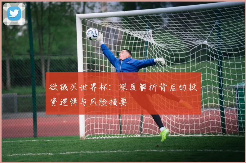 欲钱买世界杯：深度解析背后的投资逻辑与风险摘要