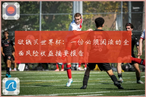 欲钱买世界杯：一份必须阅读的全面风险收益摘要报告