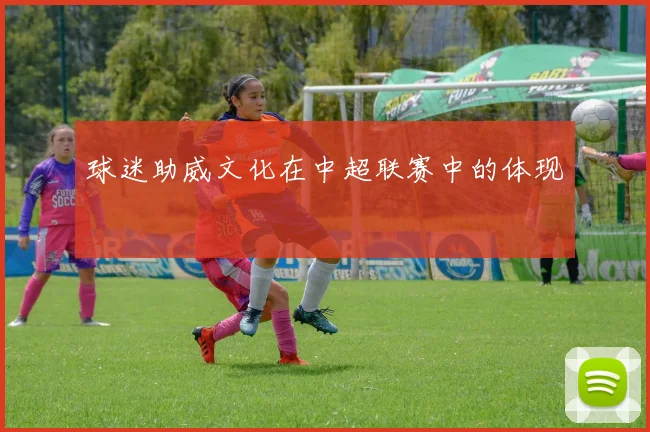 球迷助威文化在中超联赛中的体现