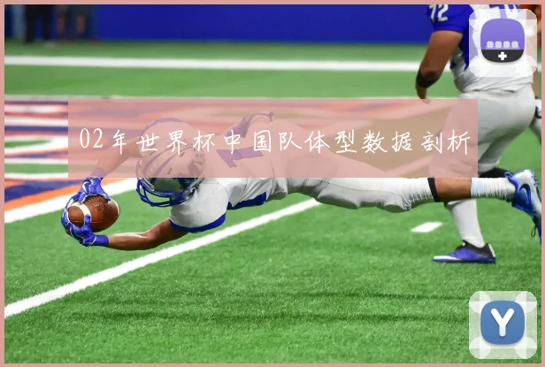 02年世界杯中国队体型数据剖析