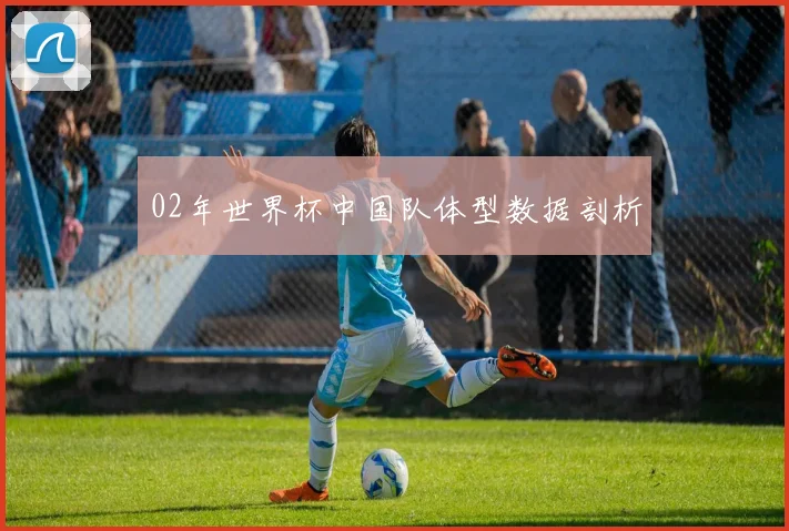 02年世界杯中国队体型数据剖析