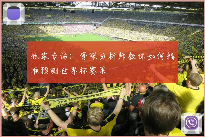 独家专访：资深分析师教你如何精准预测世界杯赛果