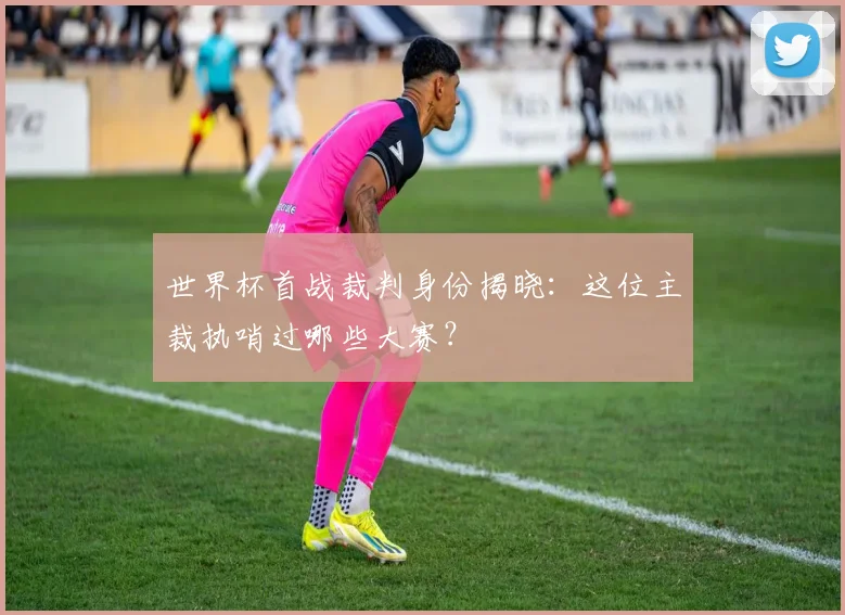 世界杯首战裁判身份揭晓：这位主裁执哨过哪些大赛？