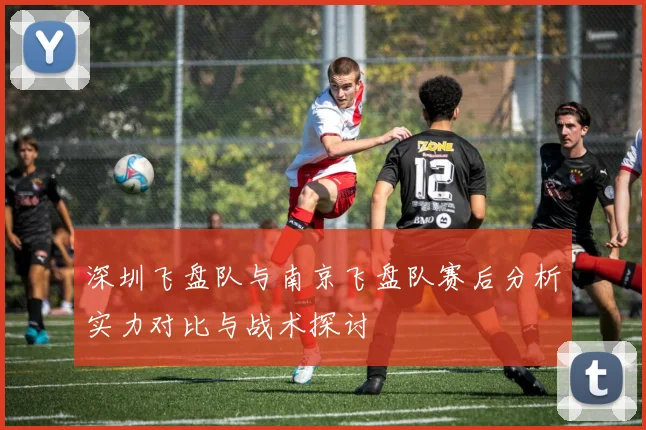 深圳飞盘队与南京飞盘队赛后分析实力对比与战术探讨