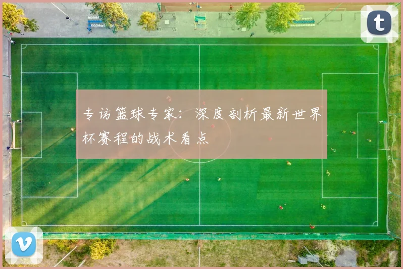 专访篮球专家：深度剖析最新世界杯赛程的战术看点