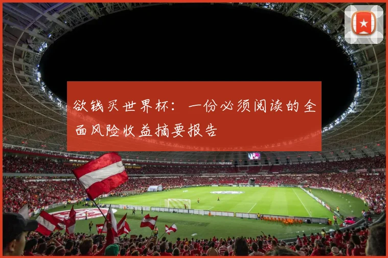 欲钱买世界杯：一份必须阅读的全面风险收益摘要报告