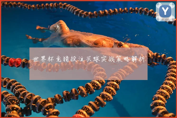 世界杯竞猜投注买球实战策略解析